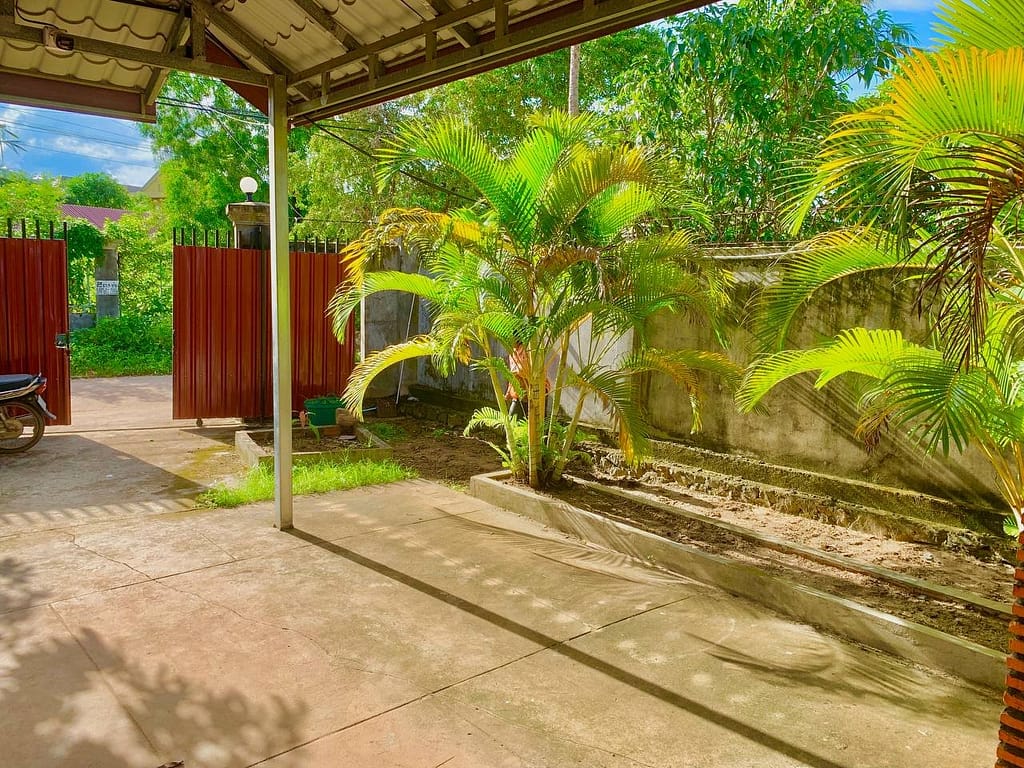 A sunny outdoor patio with concrete flooring, lush green palm plants, a red gate, and a surrounding gray wall. Shadows of the roof and plants fall on the ground. A motorcycle is partly visible to the left.